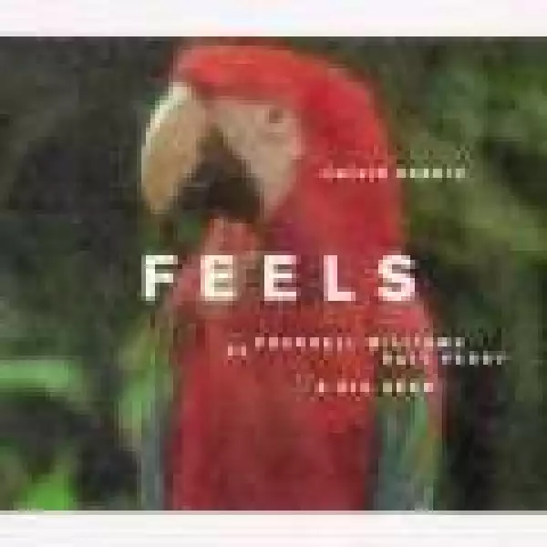 Calvin Harris - Feels (CDQ) Ft. Pharrell Williams, Katy Perry & Big Sean